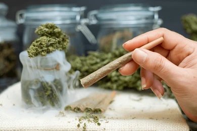 Cone Filler Machines - The Key to Consistent Pre-Roll Quality